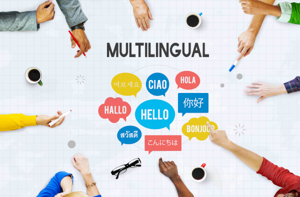 Multilingual Drupal Sites